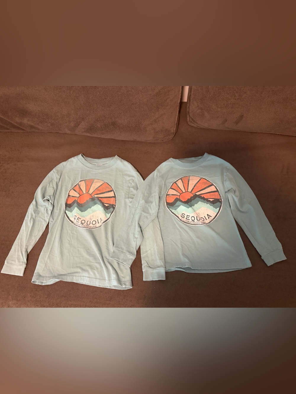 The Mountain Light Blue Long Sleeve Tee with Sunset Mountain Badge